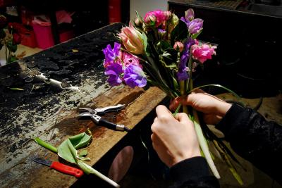 arbeit in der floristik arbeit in der floristik